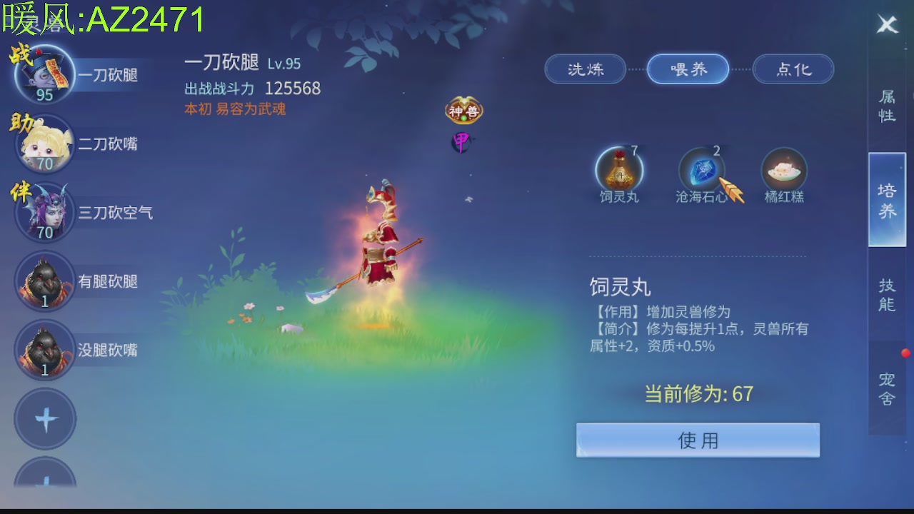 接托管，包强化，背饰打造