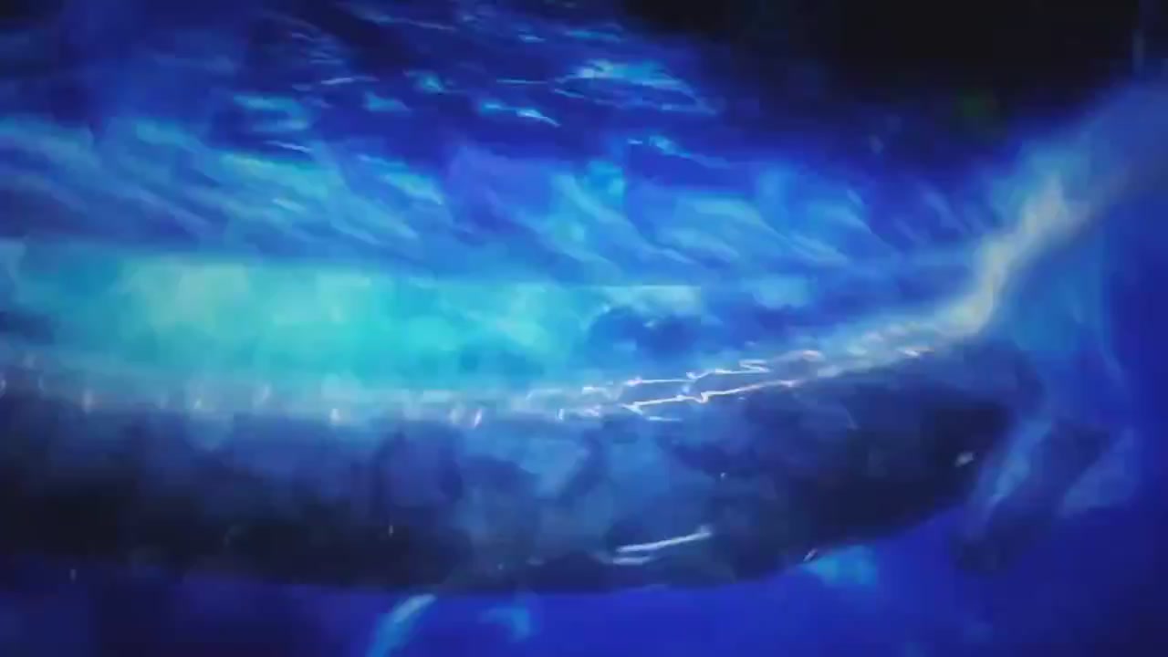 梦幻西游动画片第一季第5集